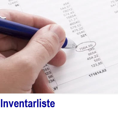 Inventarliste. Liste aller Inventarg�ter erstellen. 
Software  f�r Bes
