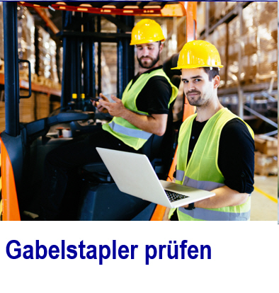 Software um Gabelstapler zu prüfen Gabelstaplerprüfung, StaplerGabelhubwagen, Staplerinformationssystem