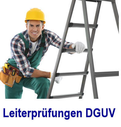 Leiterprüfungen DGUV, Arbeitsmittelprüfung per App Leiterprüfungen, DGUV,digitale Prüfsoftware, DGUV 208-016, Leitern, Gerüste, Leiterprüfung